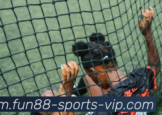 Fun88乐天堂官网平台生态图